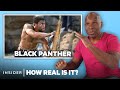 Capoeira Master Rates 9 Capoeira Scenes In Movies And TV How Real Is It Insider