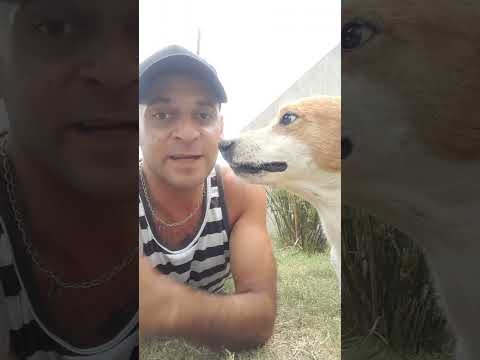 Here we are with evil phew phew...