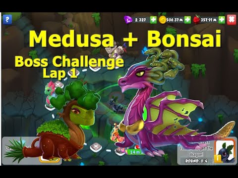 Blackberry Boss Challenge- Dragon Mania legends | Bonsai and Medusa Complete | DML