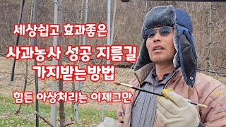 사과나무 가지받는방법 아상처리 힘들게 하지말고 시그널처리 [사과재배]