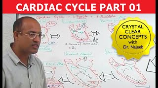 Cardiac Cycle 1/8 - Cardiology - Best Explanation!