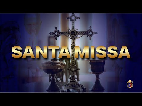 Santa Missa - 15º Domingo do Tempo Comum