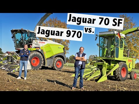 Maize chopping with Claas Jaguar 70 SF and Jaguar 970 | Maize harvesting with contractor Alfons H...