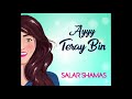 Ayyy Teray Bin Salar Shamas Official Audio