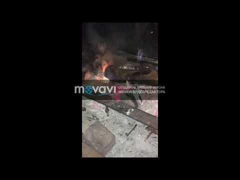 Новый проект 31