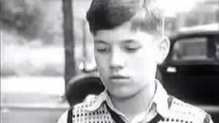 Die Welt in jenem Sommer (1980)