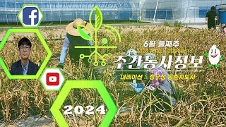 [ 주간농사정보 ] 6월 2째주 (2024. 06. 10. ~ 06. 16.)