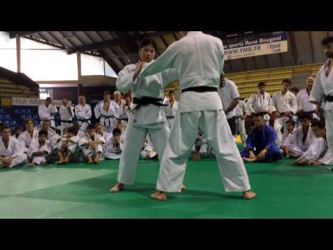 Tomoko Fukumi au stage de Judo de Montpellier