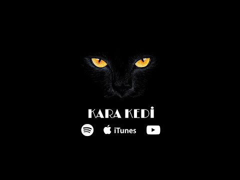 Kalips - Kara Kedi