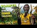 Plants for Strength, Power & Endurance MASTERCLASS with Buru!