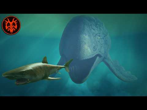 Everything We Know About Leedsichthys! | Path of Titans