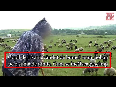 Copil de 13 ani, vândut de bunică unui cioban pentru o capră și câțiva lei. Cum se încălzea pe câmp