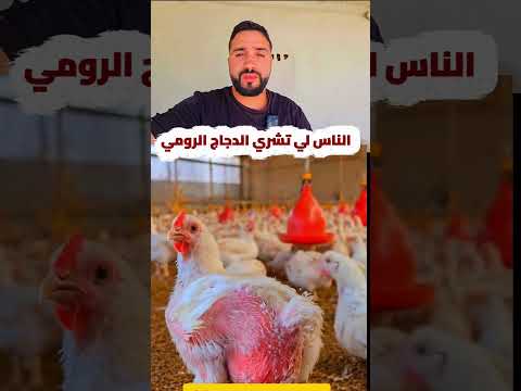 الناس لي تشري الدجاج الرومي #صحة #علم_النفس #مثقفون #الجزائر #المغرب #مثقفون