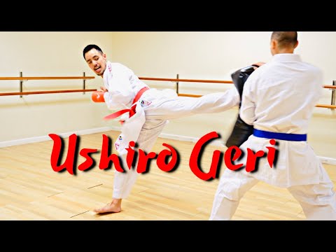 USHIRO GERI TUTORIAL (Spinning Back Kick)