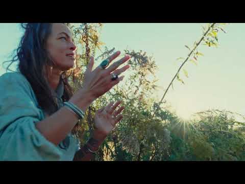 Leah Song - Goldenrod (Acoustic Video)