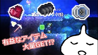 【Terraria】マスターハードコア その2～地下は男のロマン編【テラリア】