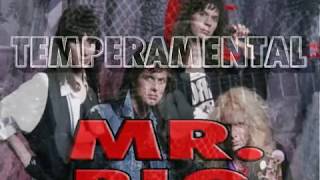 Mr. Big-Temperamental guitar solo performed by Riccardo Vernaccini