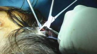 NassifMD Plastic Surgery