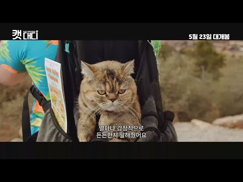 [캣 대디]  메인 예고편