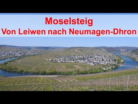 Der Moselsteig - Wanderung von Leiwen nach Neumagen