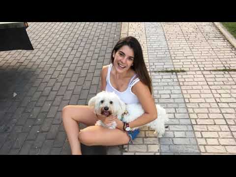 Flasito El Rey de la casa❤️