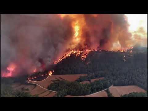 La flama d'un poble Vera Vich