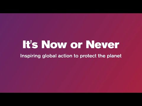 It's Now or Never: inspiring global action to protect the planet