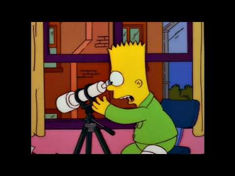 THE SIMPSONS - "Bart Thinks Ned Flanders is a Murderer" - 1994