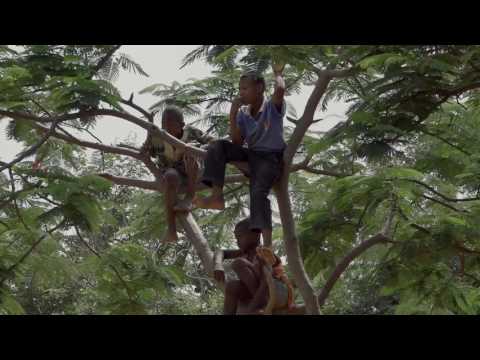 Trailer | Qui es-tu Octobre? | Julie Jaroszewski