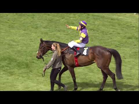 Galopprennbahn Dresden - 05.05.2019 - Rennen 7