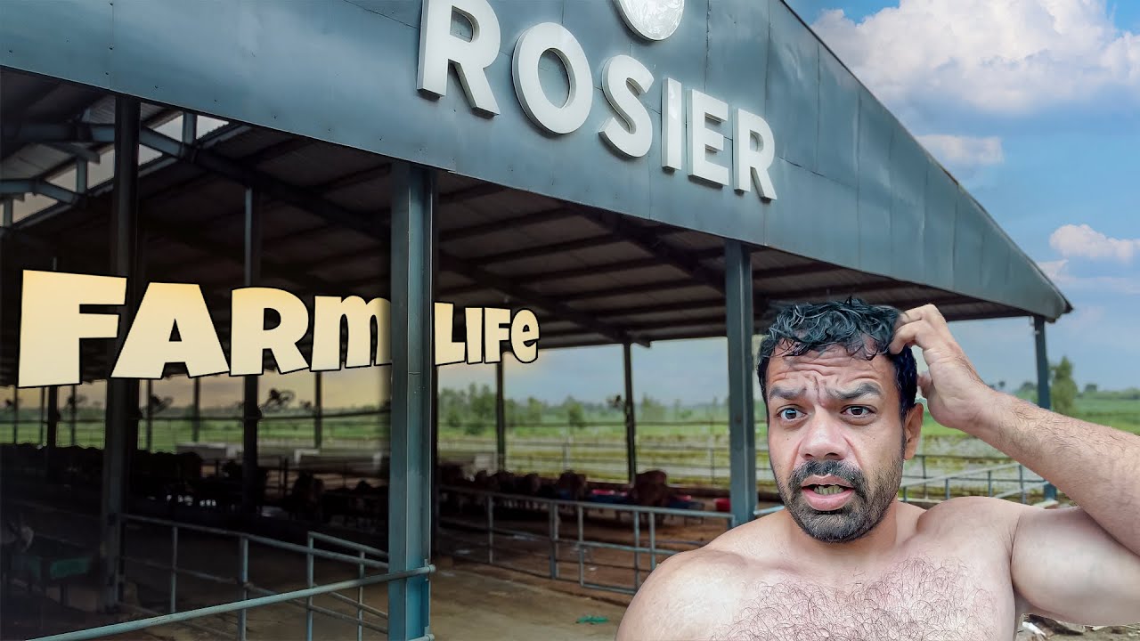 Full Day Village Life at Our Farm | Day 01