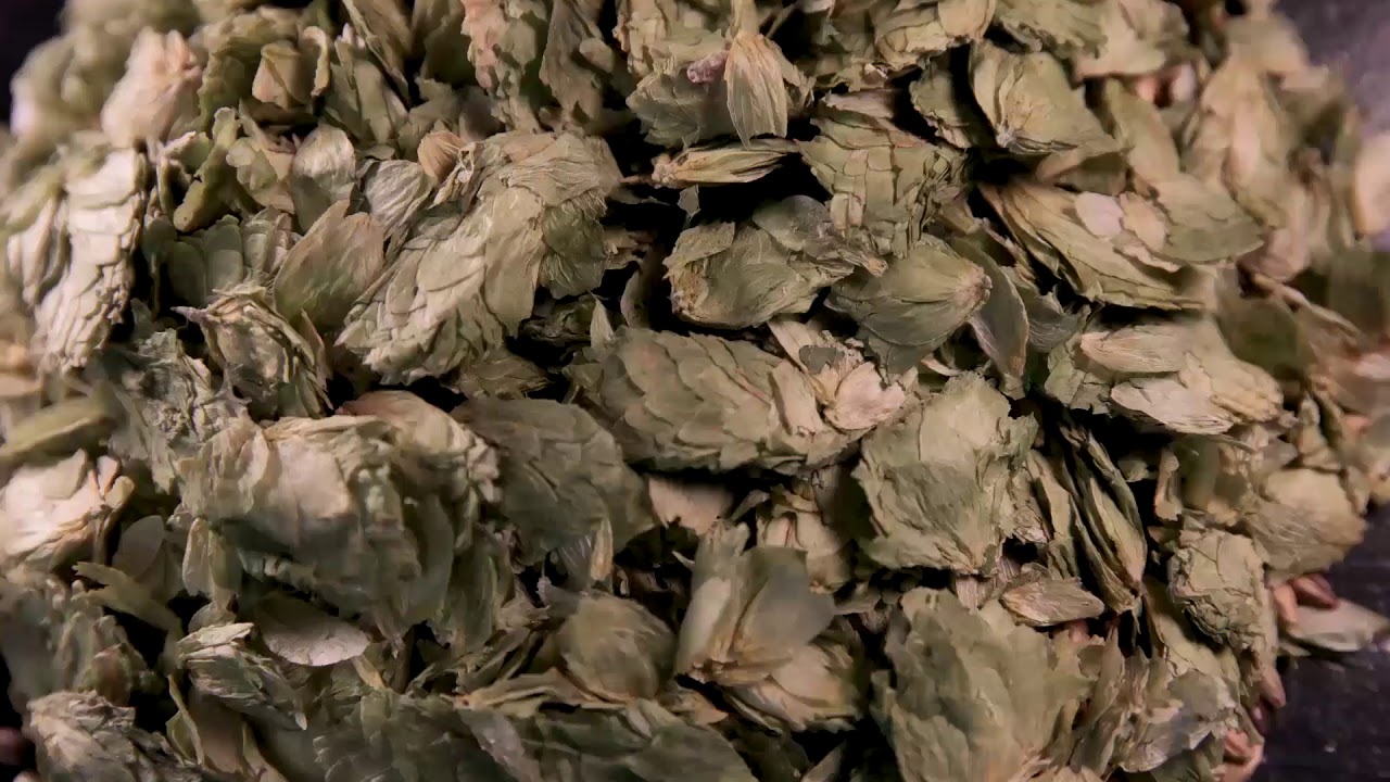 How Absolution Beer is Made - all natural, Water, Grain, Yeast & Hops. That's It. That's Absolution.