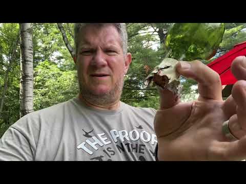 Zombieland Rule 34-Wine Disposal Wisconsin AirGunner Style