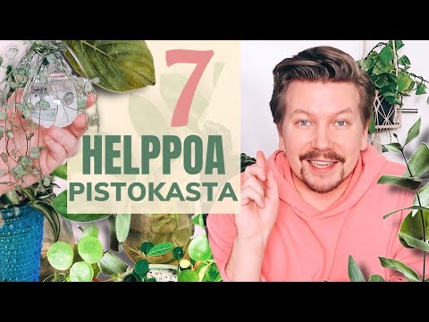 , title : 'Helpot pistokkaat 🌿'