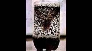 Download lagu CARA SEDERHANA MEMBUAT PERANGKAP NYAMUK DARI BOTOL BEKAS mp3