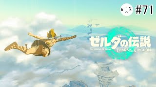 #71  ティアキンやるぞーーー！！！【ゼルダの伝説 ティアーズ オブ ザ キングダム】