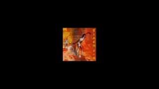 Imaginary Arboretum 架空庭園論 / Akira Inoue 井上 鑑 Side-A