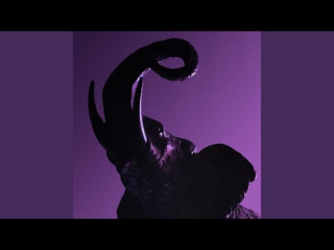 Gazza Ladra - Ikaros