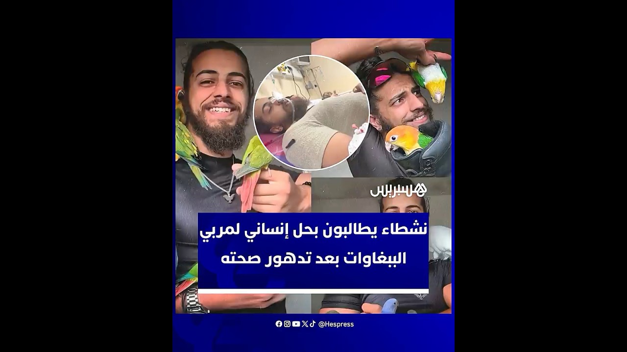 قضية "كابو باروتس" تحرك نقاشا حول حقوق مربي الطيور النادرة thumbnail