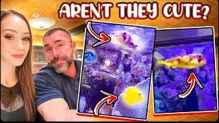 We Got A Salt Water FISH TANK