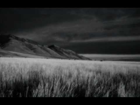 Hurt Wit Chu (Queens of the Stone Age VS Johnny Cash ) Pheugoo