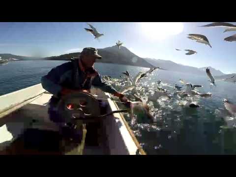 Fisketur i Langfjorden