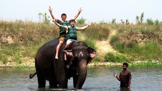 preview picture of video 'Elephant Back Ride  Safari at Chitwan National  Park - Nepal'