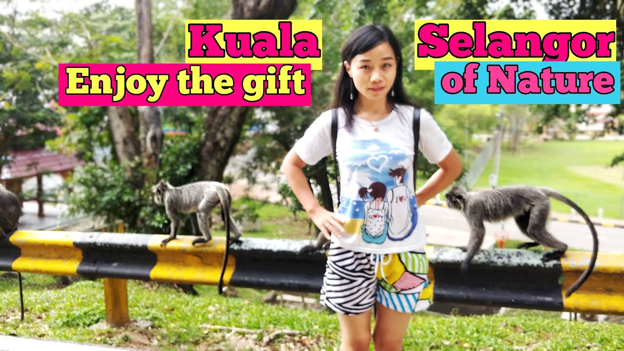 Kuala Selangor Malaysia Trip - Enjoy the gift of nature [Small Girl Big World]