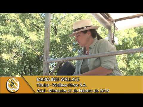 21-02-18 Nota Maria Ines Wallace - Wallace Hnos S.A. - Azul.