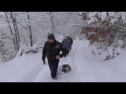 Grcic ( Ljubovija, Azbukovica )