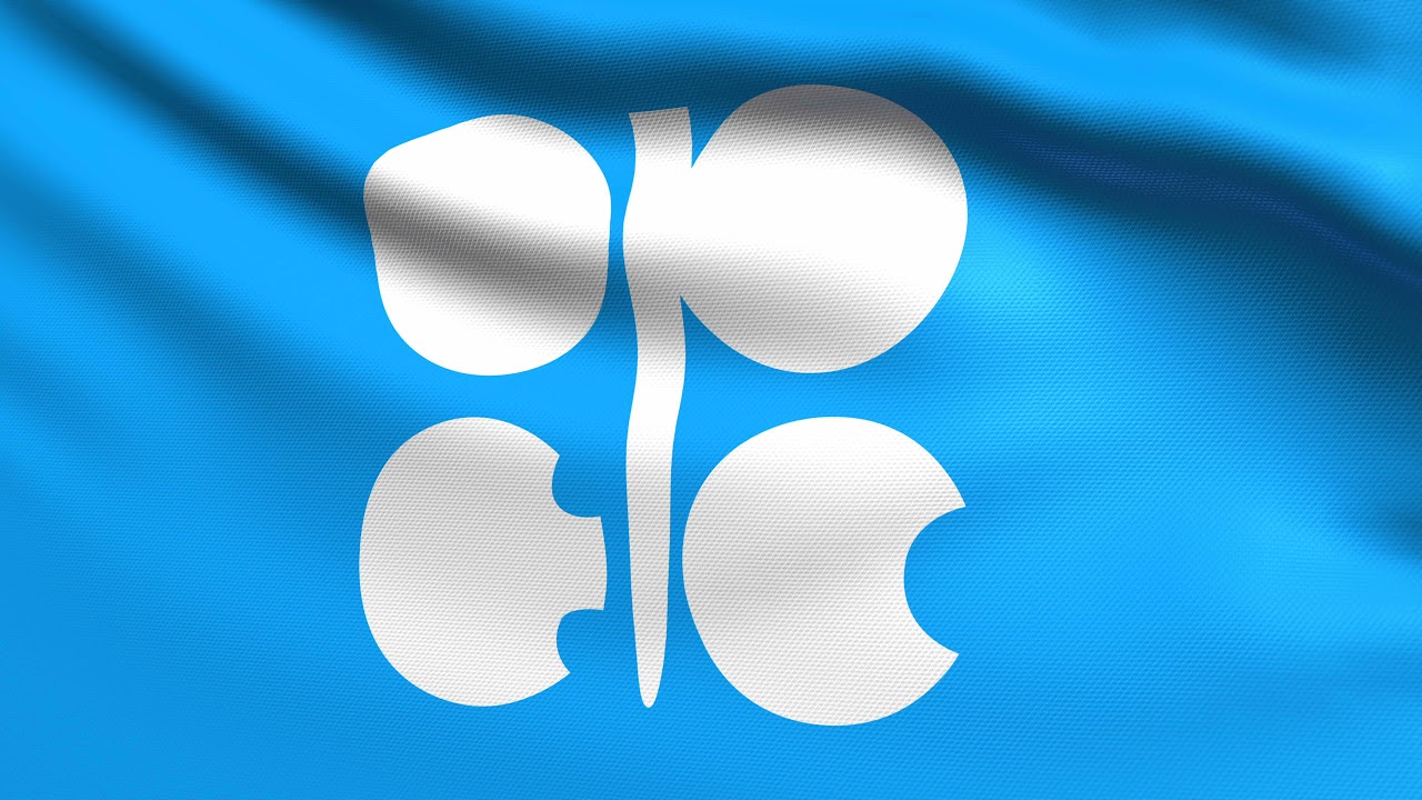OPEC Organization Flag Animation | 4k | Flags of the World