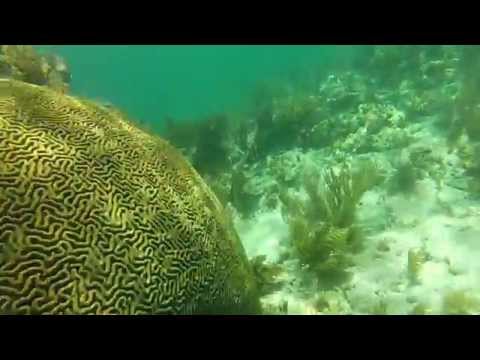 Tavernier, John Pennekamp State Park, Coconut Palm Inn.  Keys Vacation 2015