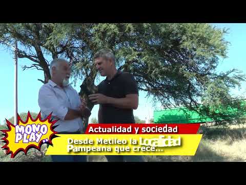 Metileo Un pueblo que crece. 2ª parte