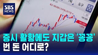 증시 활황에도 지갑은 '꽁꽁'..번 돈 어디로? / SBS